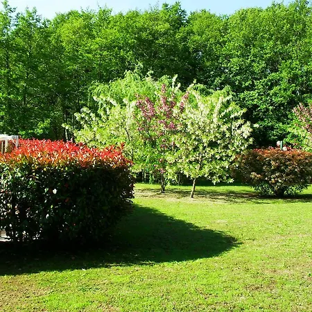 Dom wakacyjny Les Aulnes *