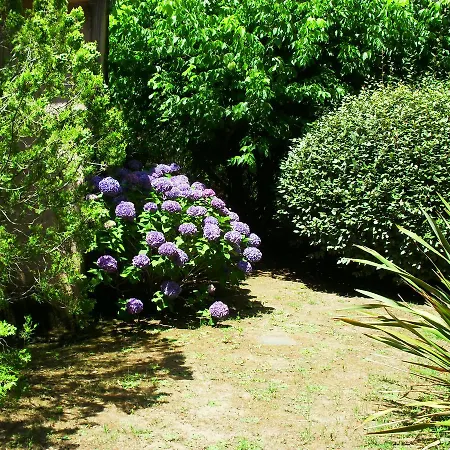 Les Aulnes Porto-Vecchio (Corsica)