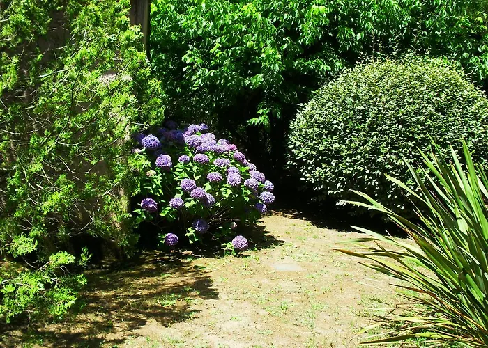 Les Aulnes Porto-Vecchio (Corsica)